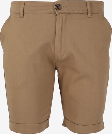 Cruz Regular Pants 'Jerryne' in Brown: front