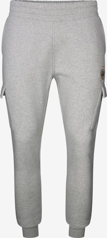SikSilk Zwężany krój Bojówki 'Essentials' w kolorze szary: przód