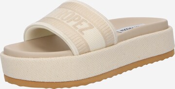 STEVE MADDEN Pantolette  'KNOXLEY' in Beige: predná strana