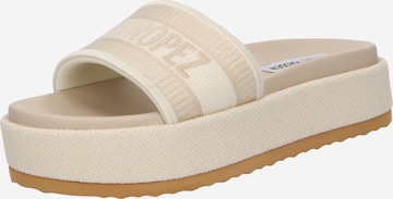 STEVE MADDEN Pantolette  'KNOXLEY' in Beige: predná strana