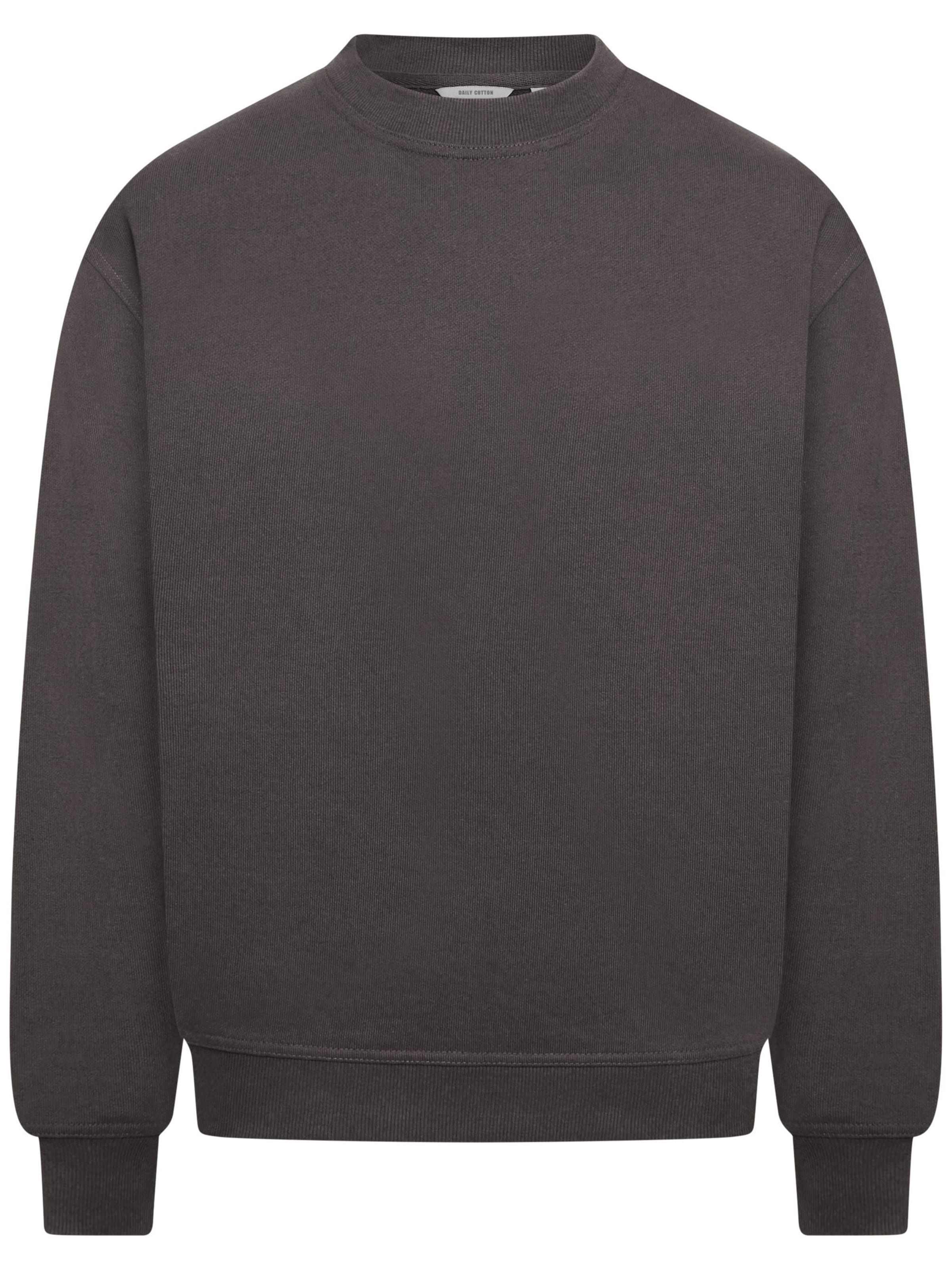 Daily Cotton Sweatshirt 'DCSORIA' in Grey