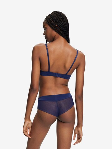 ESPRIT Panty in Blau