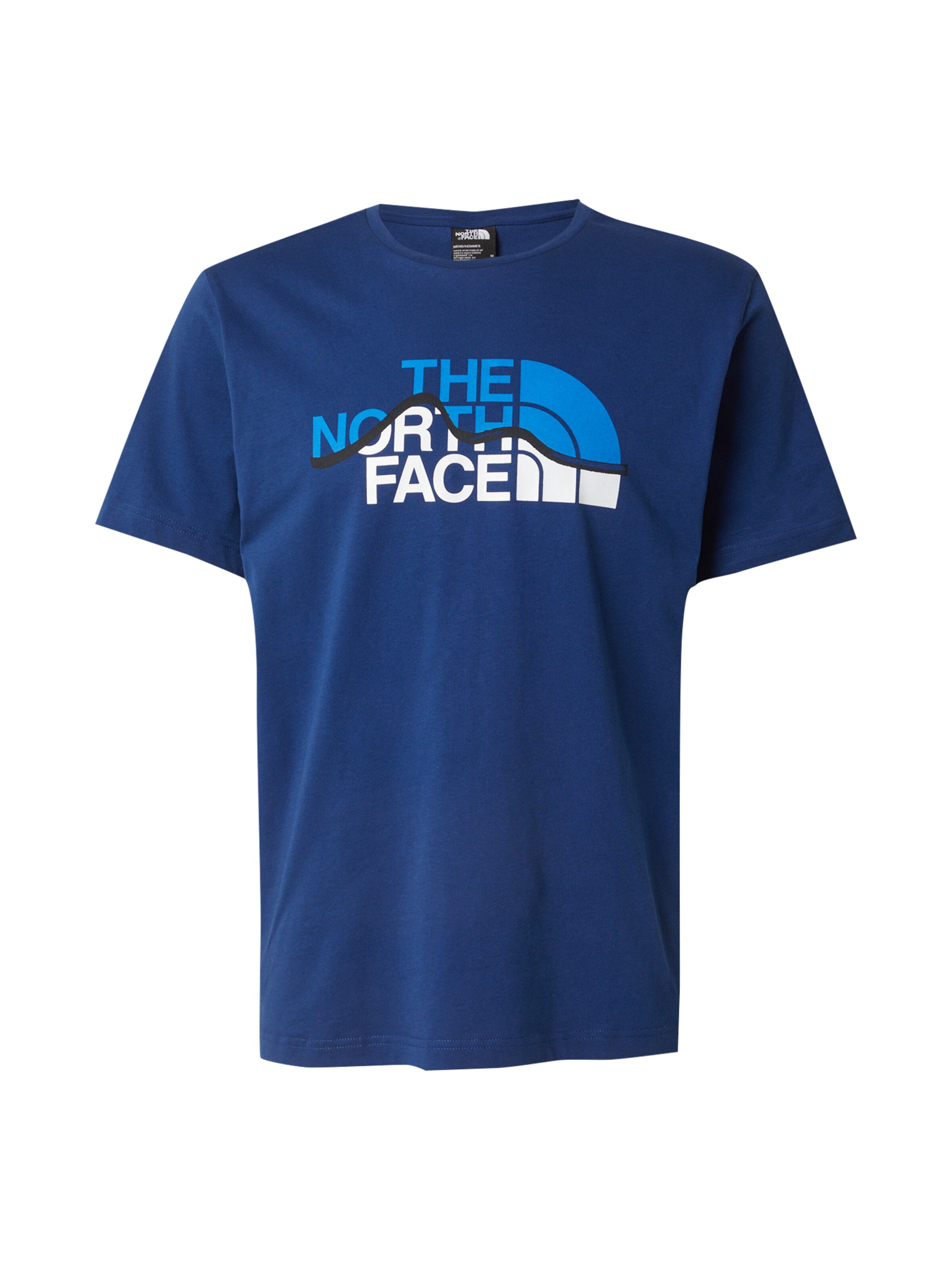 THE NORTH FACE Shirt 'MOUNTAIN LINE' in Blue: front