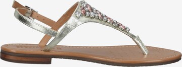 GEOX T-Bar Sandals in Silver