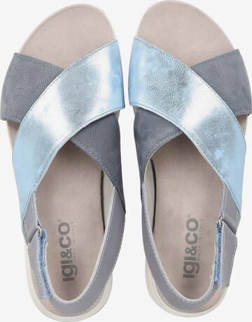 IGI&CO Sandals in Blue