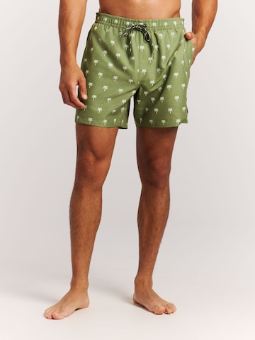 PROTEST Board Shorts 'PRTMascot' in Green