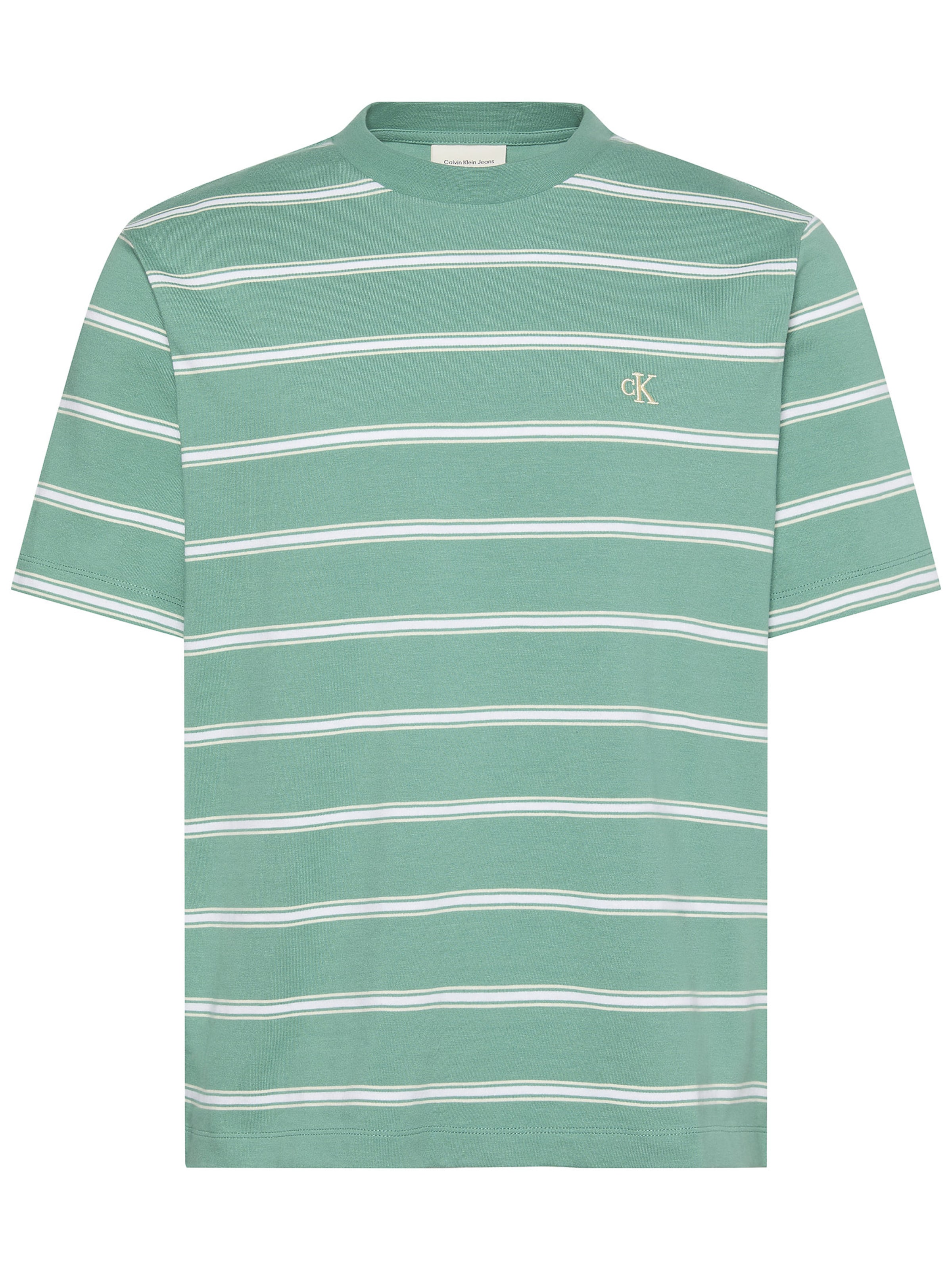 Calvin Klein Jeans Shirt in Green: front