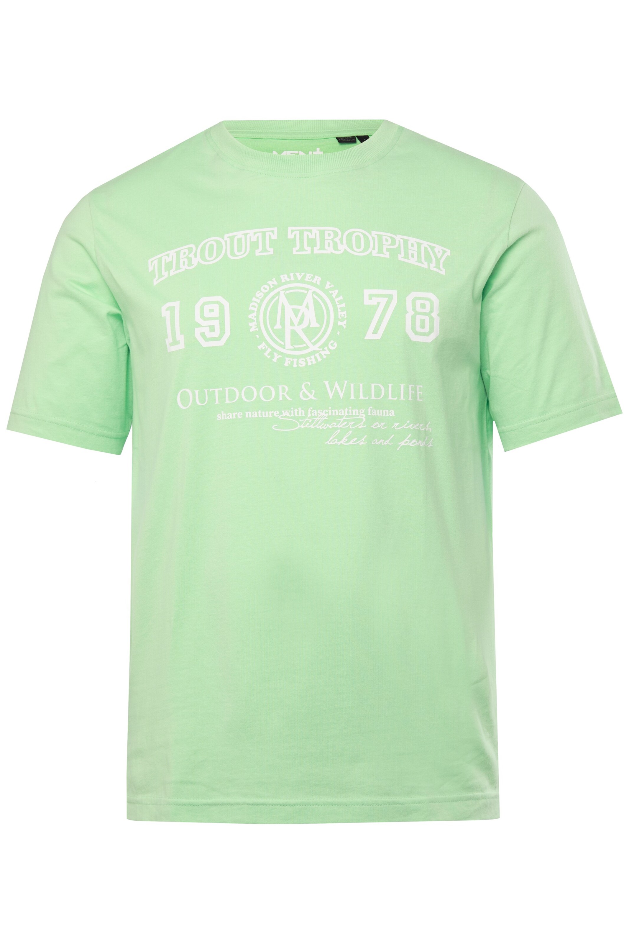 Men Plus T-Shirt in Grün: Vorderseite