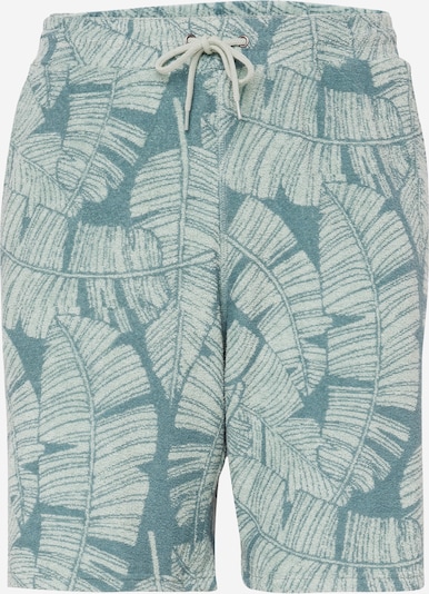 Iriedaily Pantalon 'Bananos' en vert / menthe, Vue avec produit