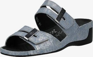 vital Mules in Blue: front