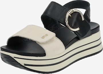 IGI&CO Sandals in Black: front