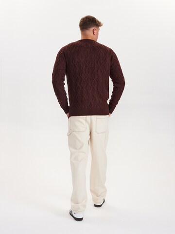 Dxnmxrk Pullover 'DXDiego' in Braun