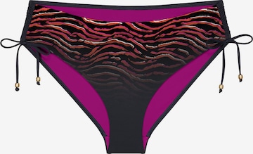 TRIUMPH Bikinislip ' Red Label Summer Wild ' in Lila: Vorderseite