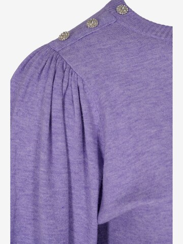 Zizzi Sweater in Purple