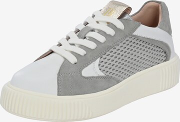 Baskets basses 'OTIS ' Crickit en gris : devant