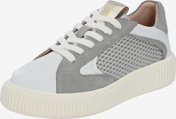 Crickit Sneaker low 'OTIS ' in Grau: predná strana