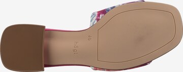 Högl Mules in Mixed colors