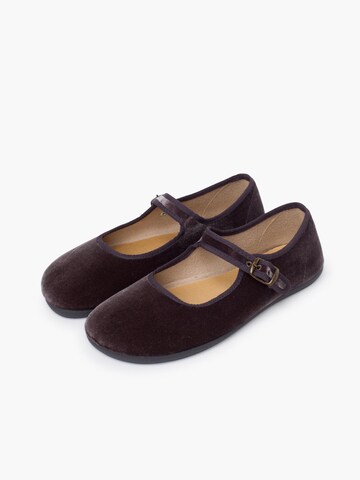 Chaussure basse Pisamonas en gris