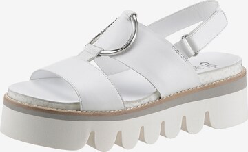 ARA Strap Sandals in White: front