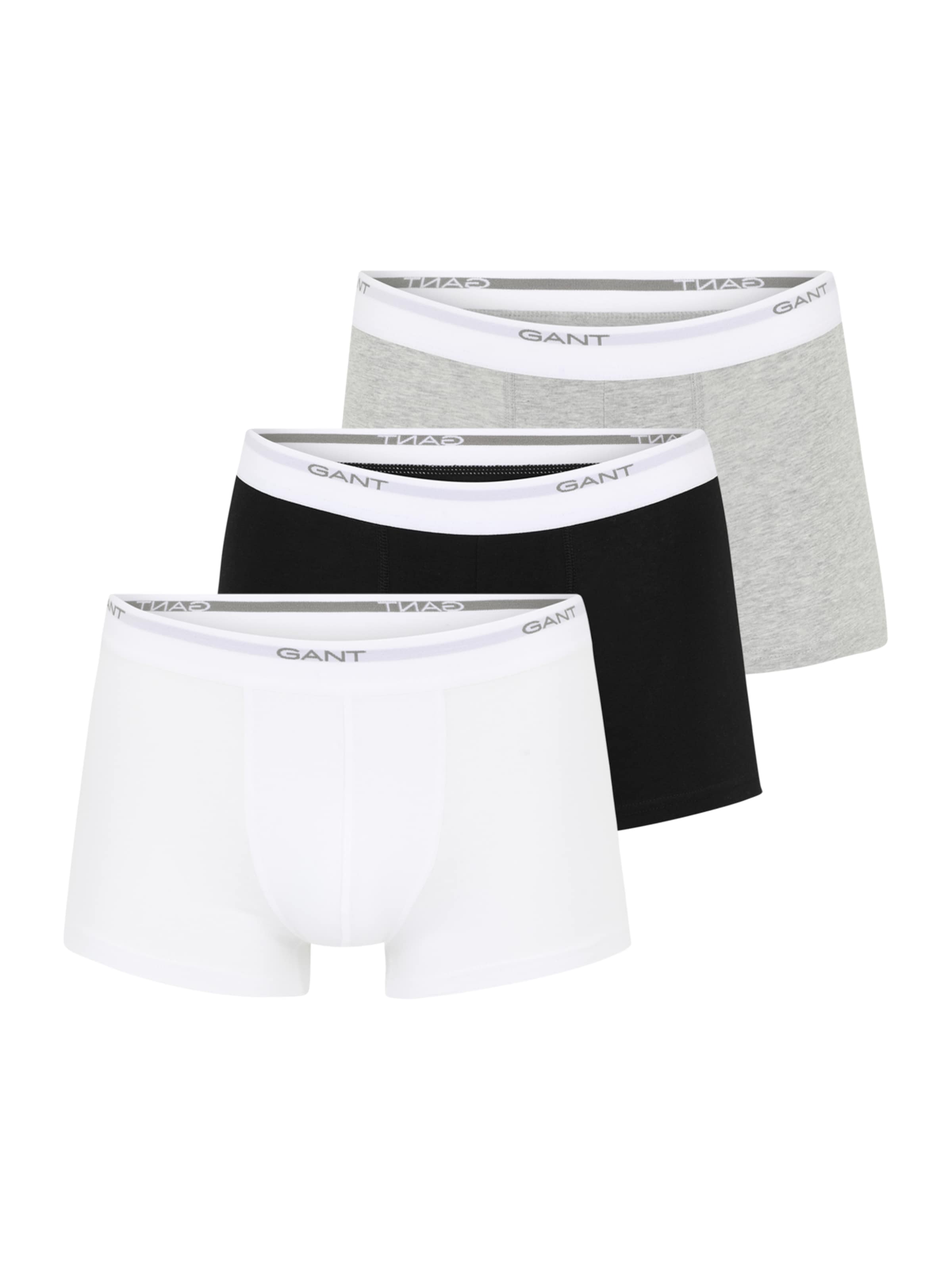 GANT Boxer shorts in Grey: front