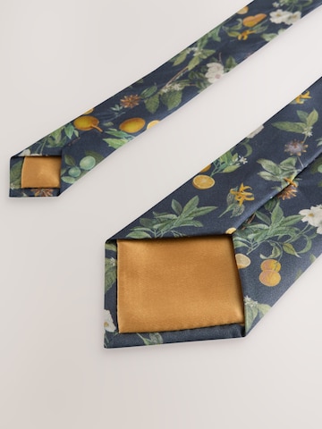 Next - Corbata 'Kew Gardens' en azul