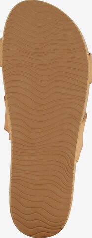 REEF Sandals 'Cushion Vista' in Brown