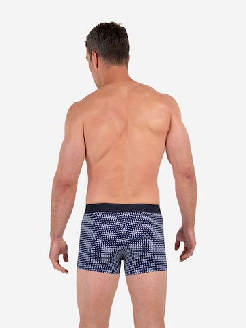 Boxers ' HO1 Hampton ' HOM en bleu