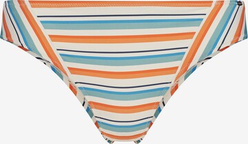 Skiny Bikinibroek in Gemengde kleuren: voorkant
