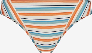 Skiny Dół bikini w kolorze mieszane kolory: przód