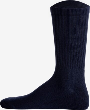 Chaussettes de sport LACOSTE en bleu