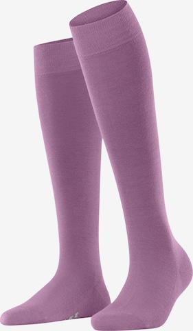 FALKE Kniestrümpfe 'Softmerino' in Pink: Vorderseite