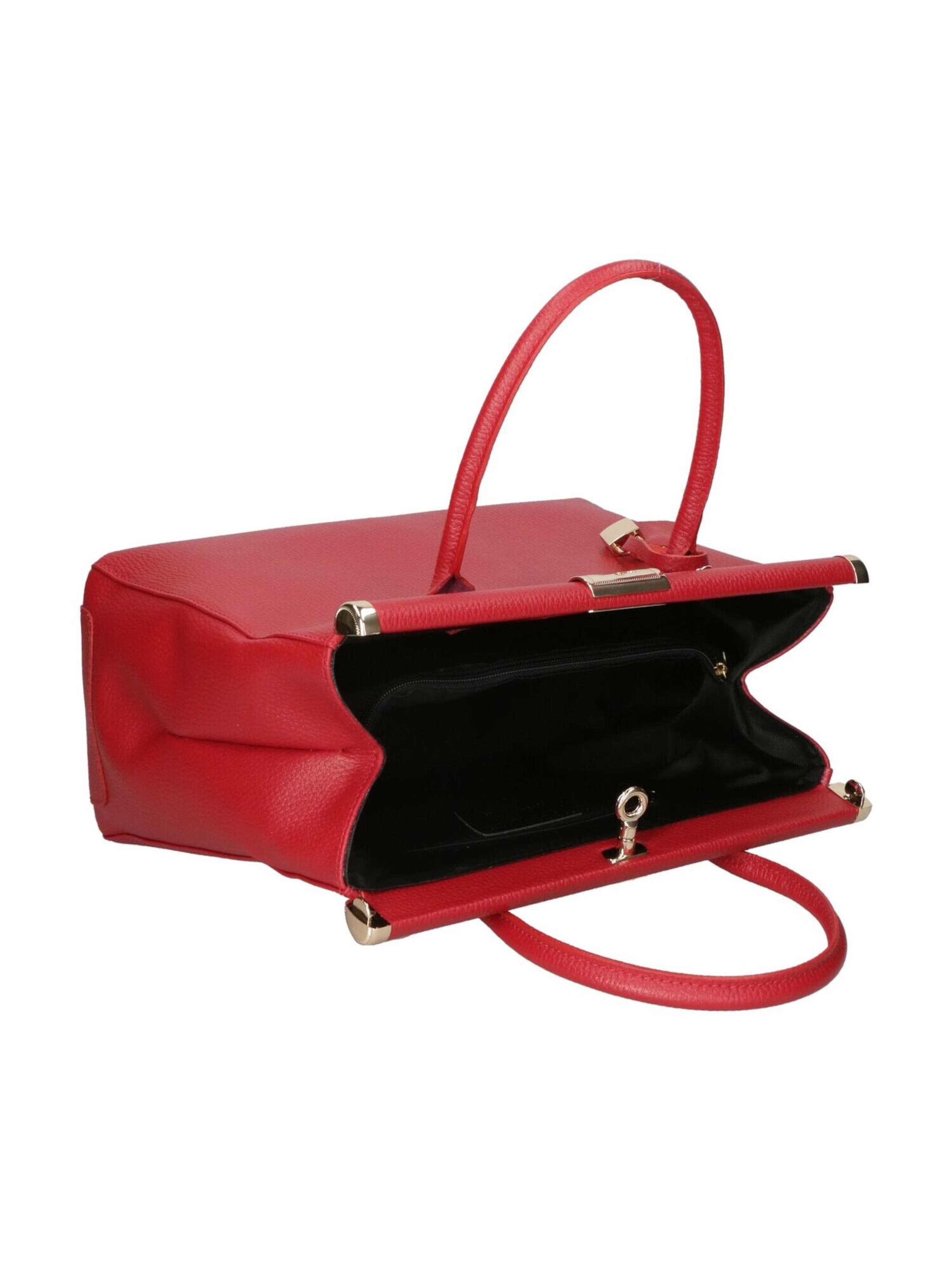 CHICCA BORSE Handbag in Red