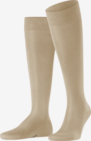 FALKE Knee High Socks 'Tiago' in Beige: front