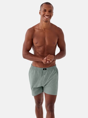 DANISH ENDURANCE Boxershorts 'Organic Woven' in Groen