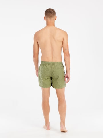 PROTEST Board Shorts 'PRTRaptor' in Green