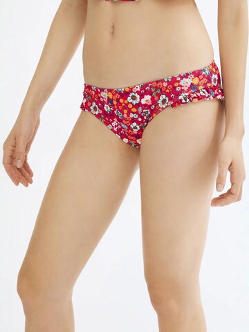 Penti Bikinibroek in Gemengde kleuren