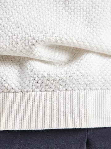 DRYKORN Sweter 'TRITON 10' w kolorze biały