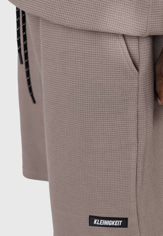 regular Pantaloni di Kleinigkeit in grigio