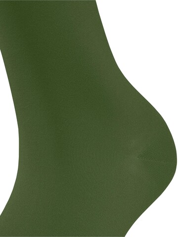 FALKE Socken 'Cotton Touch'‌‌‌‌‌‌‌ in Grün