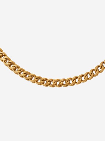 GUESS Halsband i guld