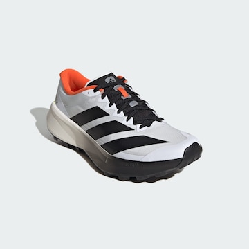 Chaussure basse 'Agravic 4' ADIDAS TERREX en blanc
