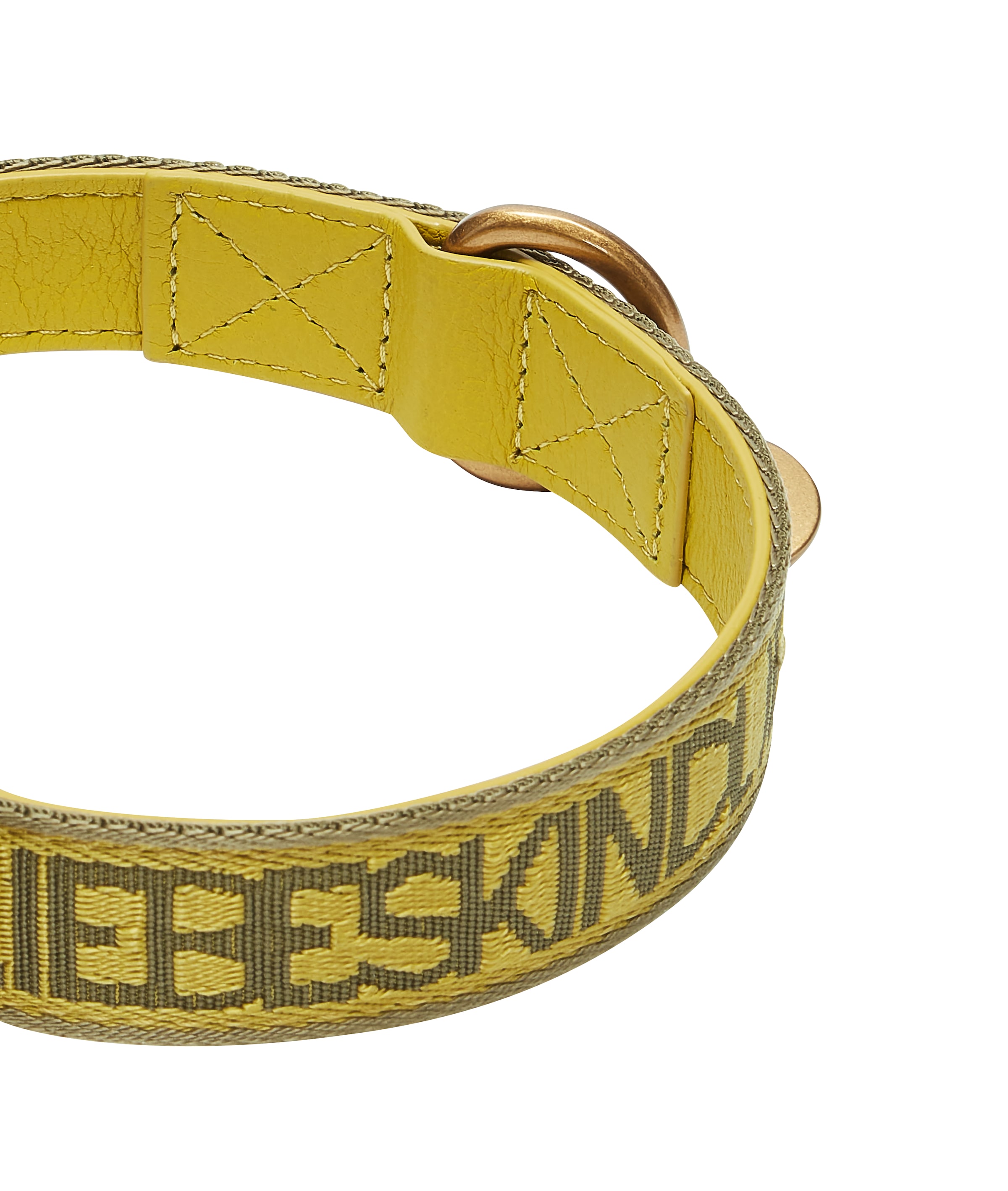 Liebeskind Berlin Pet accessories in Yellow