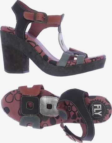 FLY LONDON Sandalen 38 in Mischfarben: Vorderseite