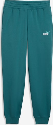 PUMA Hose in Grün: Vorderseite
