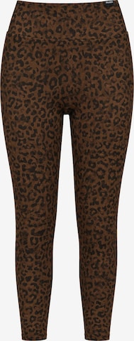 Leggings ' Velvara ' Smilodox en marron : devant