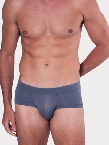 TAUWELL Panty in Grey: front