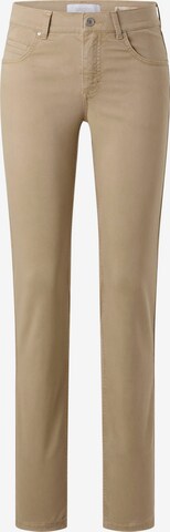 Angels Regular Chino Pants in Brown: front