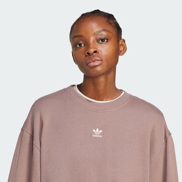 ADIDAS ORIGINALS Sweatshirt in Braun