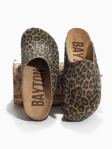 Bayton Nizki natikači 'MALONKI' | bež barva