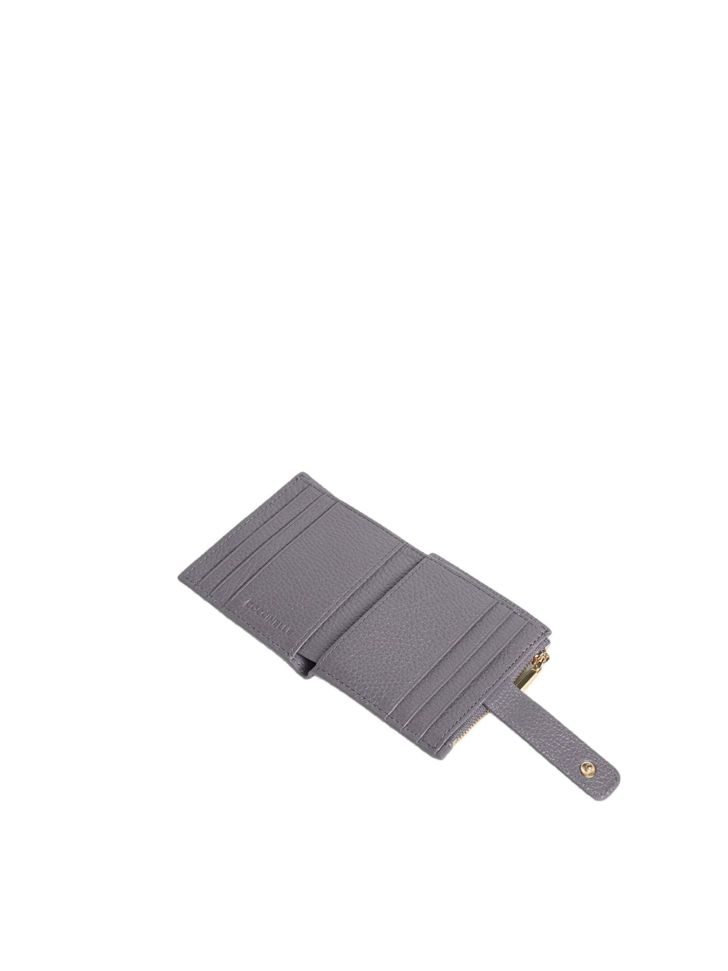 Coccinelle Case 'Metallic 1001 1' in Grey